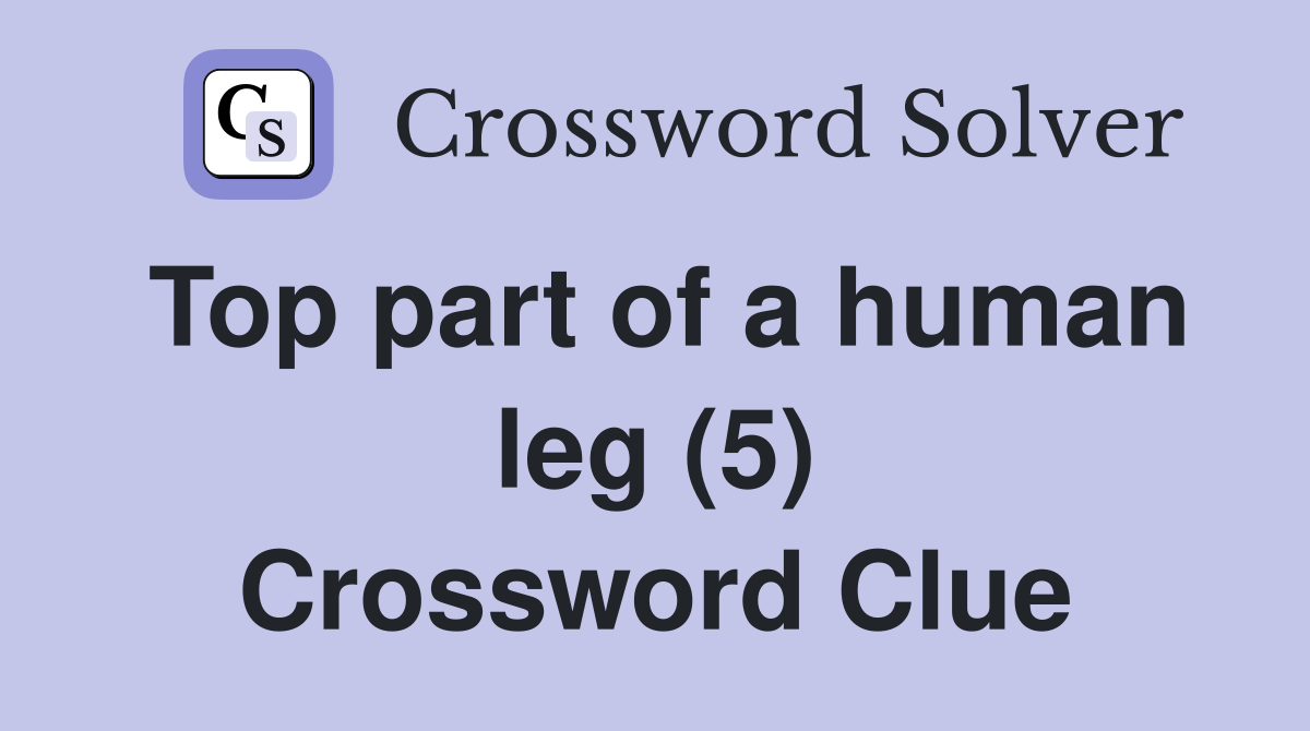 Top part of a human leg (5) - Crossword Clue Answers - Crossword Solver